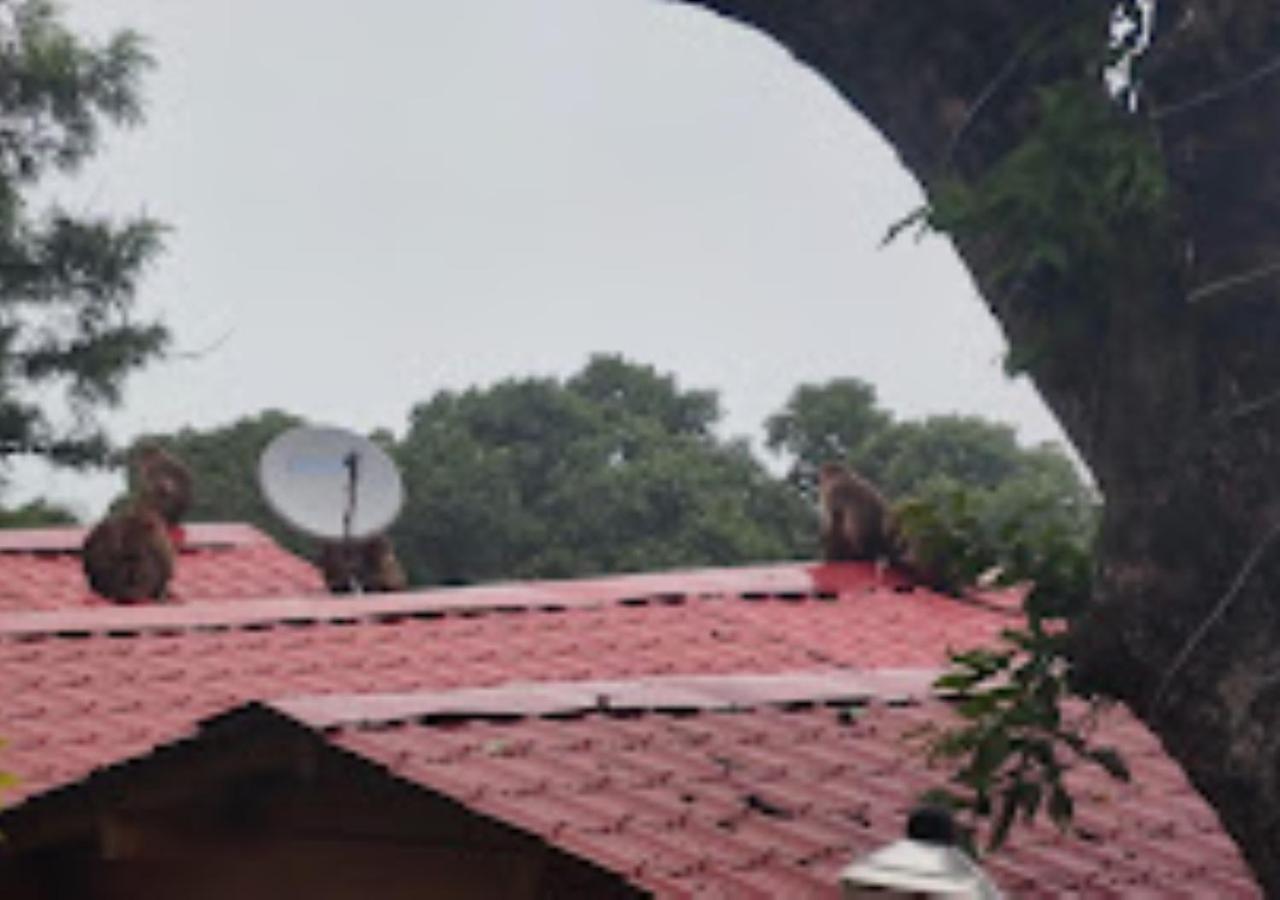 Kaas Woods Resort Yavateshwar 사타라 외부 사진